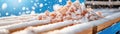 Innovative Automated Packaging Lines Prioritizing Safety and Superior Quality Presentation Advanced Features, Cutting-Edge