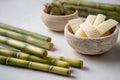 Innovative bamboo biodegradable plastic sheet for sustainable production Royalty Free Stock Photo
