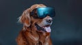 Innovative concept dog in virtual reality glasses with customizable space for text graphics Royalty Free Stock Photo