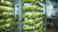 Innovative Growth. A Close-Up of Vertical Hydroponic Lettuce Cultivation. Generative AI Royalty Free Stock Photo