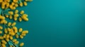 Innovative Page Design Eucalyptus Flowers On Turquoise Background