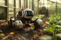 Innovative robots tending to crops in a modern greenhouse setting Royalty Free Stock Photo