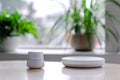 Innovative smart home gadgets integrated into daily life