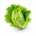 Innovative Techniques: Stunning Half Lettuce Image On White Background Royalty Free Stock Photo