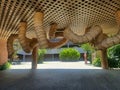 Innovative Wooden Architecture Design in Sunny Outdoor Plaza with Lush Greenery and Geometric Patterns
