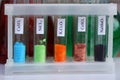 Test tubes in a rack, with colored inorganic salts and their formulas. Royalty Free Stock Photo