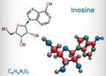 Inosine molecule. It is purine nucleoside, commonly occurs in tRNA. Consists of hypoxanthine connected to ribofuranose glycosidic Royalty Free Stock Photo