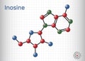 Inosine molecule. It is purine nucleoside, commonly occurs in tRNA. Consists of hypoxanthine connected to ribofuranose glycosidic