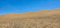 Imperial Sand Dunes California Royalty Free Stock Photo