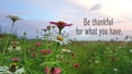 Blessings and thankful inspirational words with fresh meadow, zinnia flowers garden and colorful dreamy sky backgrounds.