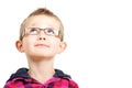 Inquisitive boy Royalty Free Stock Photo