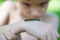 Inquisitive boy Royalty Free Stock Photo