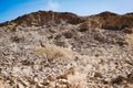 Inquisitive goat perched atop a tree in the picturesque landscape of Oman in the Middle East Royalty Free Stock Photo