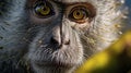 Inquisitive Monkey Close-Up. Generative AI Royalty Free Stock Photo