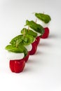 Insalada caprese Royalty Free Stock Photo