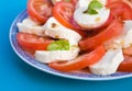 Insalata Caprese Royalty Free Stock Photo