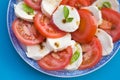 Insalata Caprese Royalty Free Stock Photo