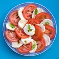 Insalata Caprese Royalty Free Stock Photo