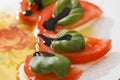 Insalata Caprese Royalty Free Stock Photo