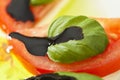 Insalata Caprese Royalty Free Stock Photo