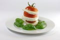 Insalata caprese Royalty Free Stock Photo