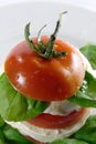 Insalata caprese Royalty Free Stock Photo