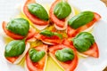 Insalata Caprese Royalty Free Stock Photo