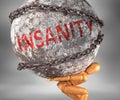 Insanity and hardship in life - pictured by word Insanity as a heavy weight on shoulders to symbolize Insanity as a burden, 3d