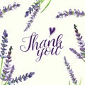 Inscriprion Thank you with watercolor lavender branches, illustration