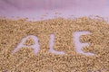 The inscription of ale with malt grains on a lilac textile background. Craft beer brewing from grain barley malt in process. Ale