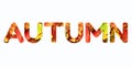 Inscription Autumn made with red, orange, yellow and green maple leaves background. Text for your design. Golden autumn concept.