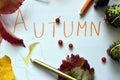 Inscription autumn Royalty Free Stock Photo