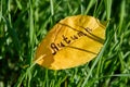 The inscription Autumn is written on a yellow leaf Royalty Free Stock Photo