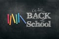 Inscription Back to school, chalk scribble background on blackboard. The concept of the day of knowledge, September 1, the