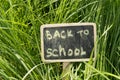 Inscription Back to school written in chalk on a blackboard background of green grass Royalty Free Stock Photo