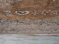 The inscription on the beach-I love the sea. Signs and symbols. On the sea sand-shell beach, the text and the heart are laid out Royalty Free Stock Photo