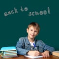 The inscription on the board BACK TO SCHOOL. A boy of European appearance is sitting on the background of the school green board.