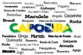 Inscription `Capoeira` on the white background