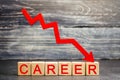 The inscription `career` and the red arrow down. career down. a demotion, a career crisis. lowering the standard of living. cutbac