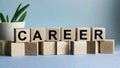 The inscription CAREER on wooden cubes isolated on a blue background, the concept of business and finance