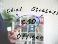 The inscription CSO Chief Strategy Officer . Simple and stylish office environment on background