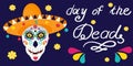 The inscription day of the dead is isolated on a dark background. Mexican party with bright colors and labels. Vector illustration Royalty Free Stock Photo