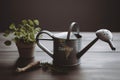 Inscription Earth Day with young plant in watering can on grey wooden table. Generative AI Royalty Free Stock Photo