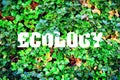 Inscription, Ecology on a background of green leaves. The concept of pure nature. Royalty Free Stock Photo