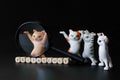 Inscription felinology next to a magnifying glass and funny toy dancing kittens from the meme. Black background. The science of