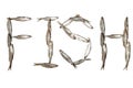 inscription "Fish" made of fish bleak (Alburnus alburnus) on a white isolated background Royalty Free Stock Photo