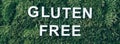Inscription Gluten Free on moss, green grass background. Top view. Copy space. Banner. Biophilia concept. Nature Royalty Free Stock Photo