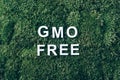 Inscription GMO FREE on moss, green grass background. Top view. Copy space. Banner. Biophilia concept. Nature backdrop Royalty Free Stock Photo