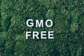 Inscription GMO FREE on moss, green grass background. Top view. Copy space. Banner. Biophilia concept. Nature backdrop Royalty Free Stock Photo