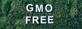 Inscription GMO FREE on moss, green grass background. Top view. Copy space. Banner. Biophilia concept. Nature backdrop Royalty Free Stock Photo
